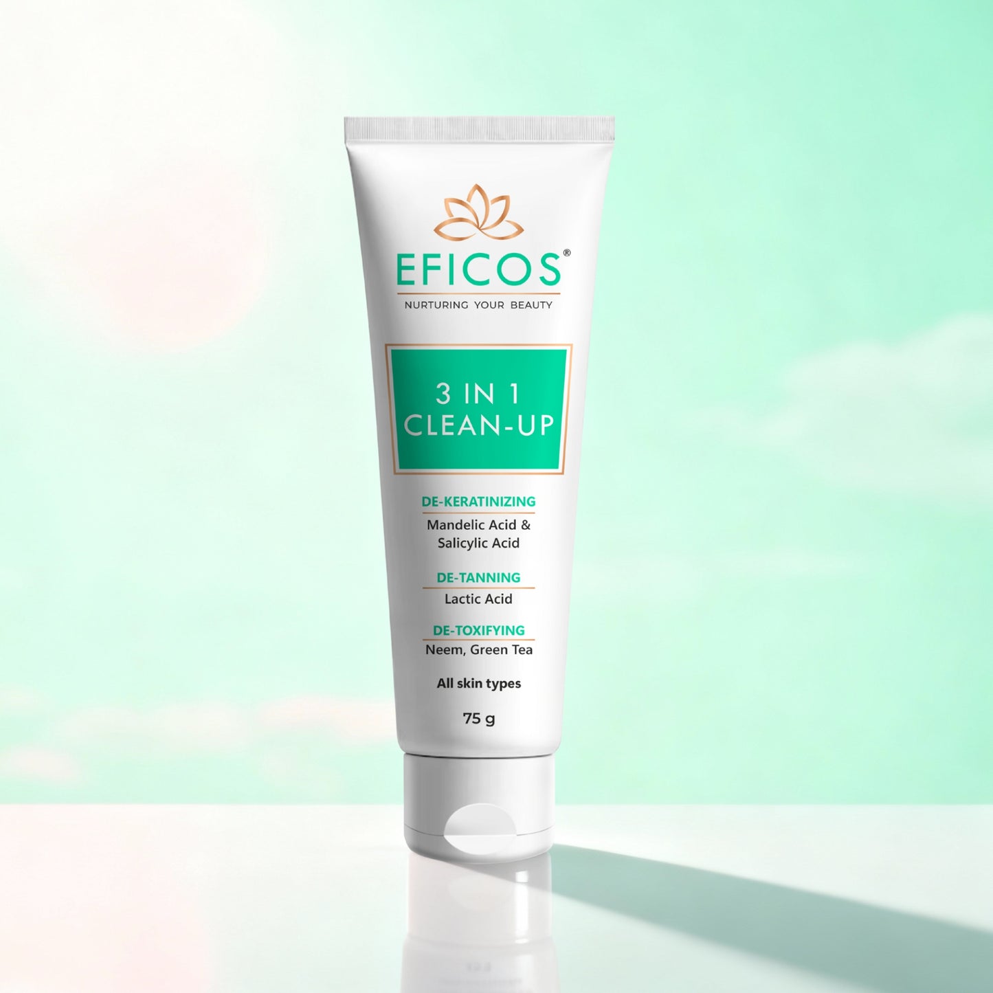 3 IN 1 CLEAN - UP 75 G